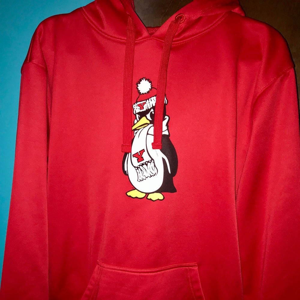 Nike YSU Hoodie